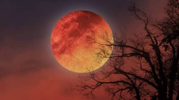 dünyada maraqlı təbii hadisələr 