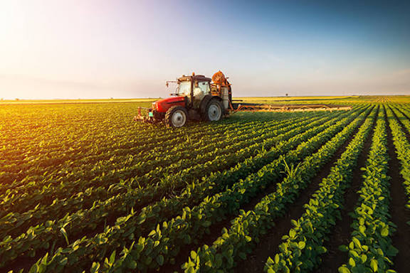 Azərbaycan kəndlərində həyat 