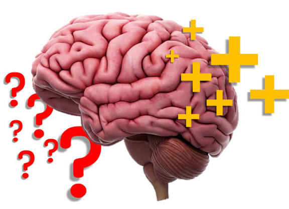 insan beyni və qərarvermə